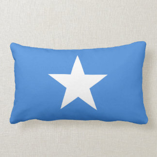 Somalian flag pillow