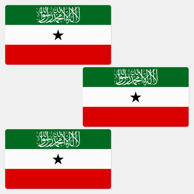 Somaliland Flag (Group)