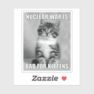 Sombre Kitten Portrait with a Darkly Honest Messag