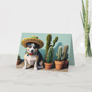 sombrero perro holiday card