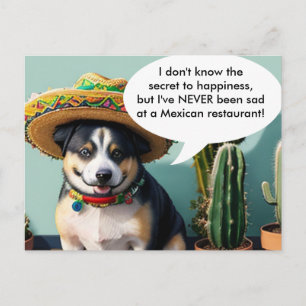 sombrero perro meme postcard