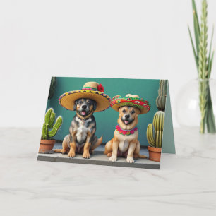 sombreros perros holiday card