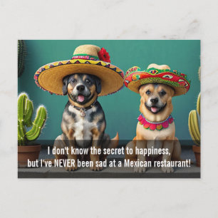 sombreros perros meme postcard