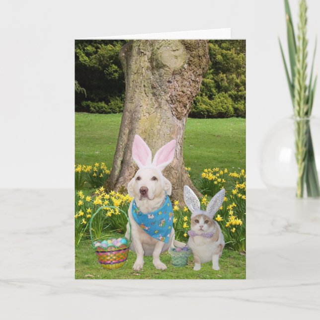 Some Bunnies Love You! Holiday Card (Front)