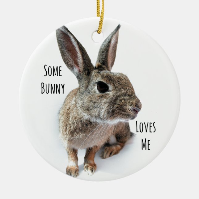 Some Bunny Loves Me Collection Rabbit Easter Ceramic Tree Decoration (Front)