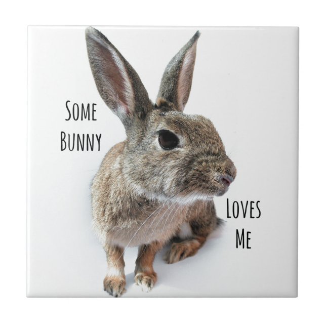 Some Bunny Loves Me Collection Rabbit Easter Tile (Front)