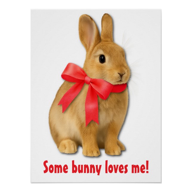 Some bunny loves me! poster (Front)