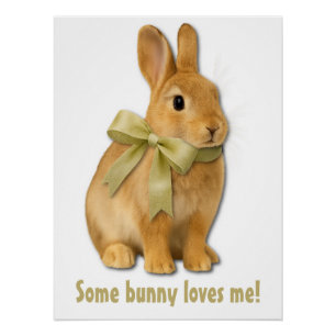 Some bunny loves me! poster