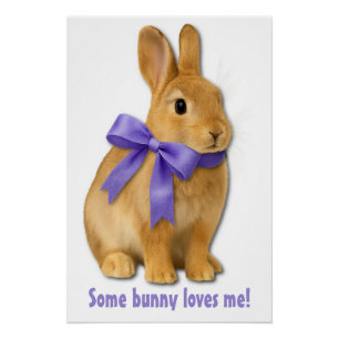 Some bunny loves me! poster