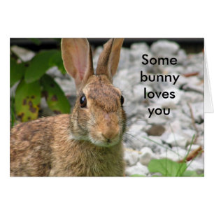 Some bunny loves you