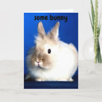 SOME BUNNY LOVES "YOU"