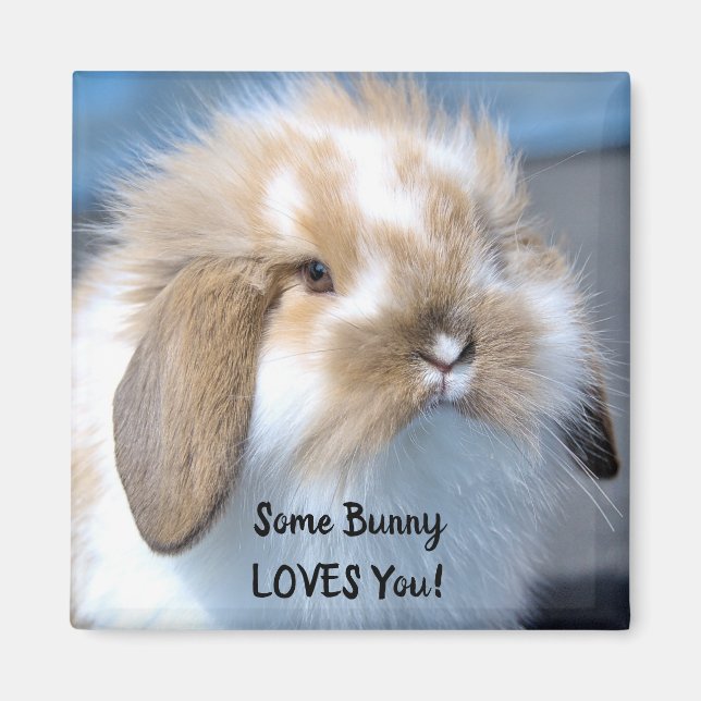 Some Bunny Loves You - Fluffy Holland Lop Magnet (Front)