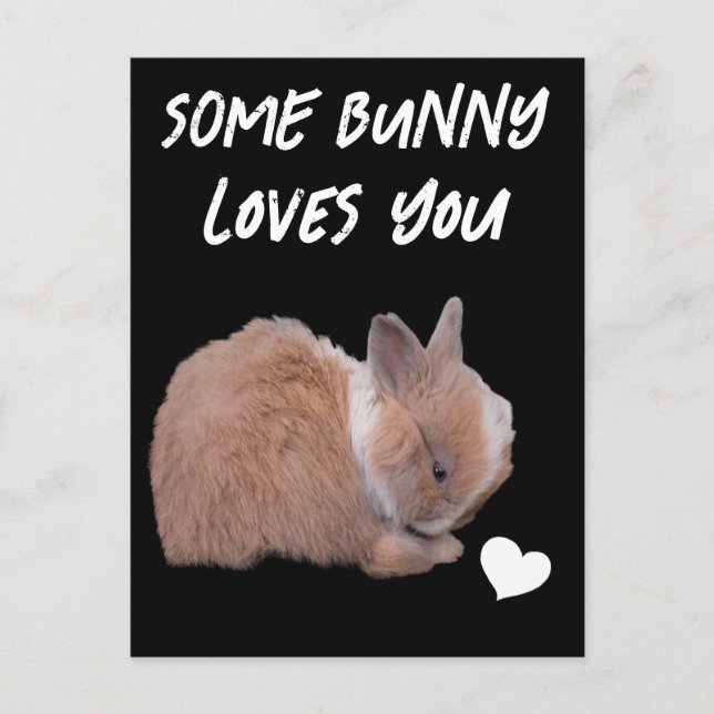 Some Bunny Loves You Postcard (Front)