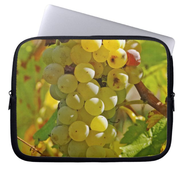 Some Chasselas in the vineyard - planted long Laptop Sleeve (Front)
