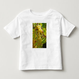 Some Chasselas in the vineyard - planted long Toddler T-Shirt
