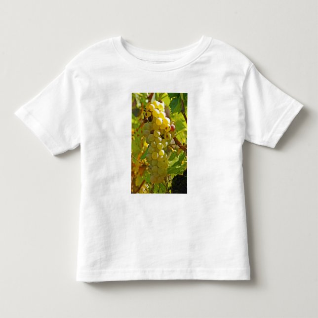 Some Chasselas in the vineyard - planted long Toddler T-Shirt (Front)