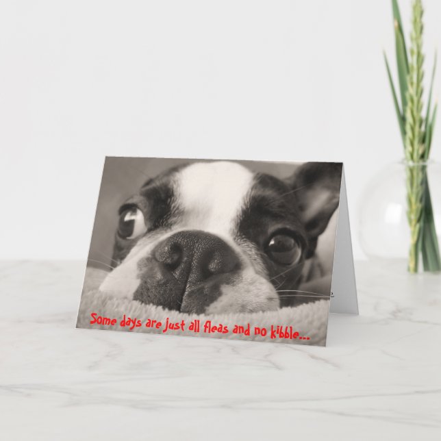 Some days are just all fleas and no kibble card (Front)
