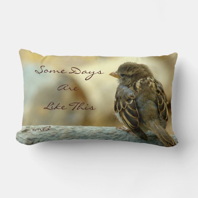 Some Days Are Like This, Designer Pillow (Front)