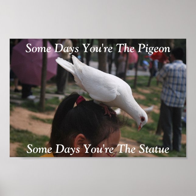 Some Days You're The Pigeon...Statue Poster (Front)