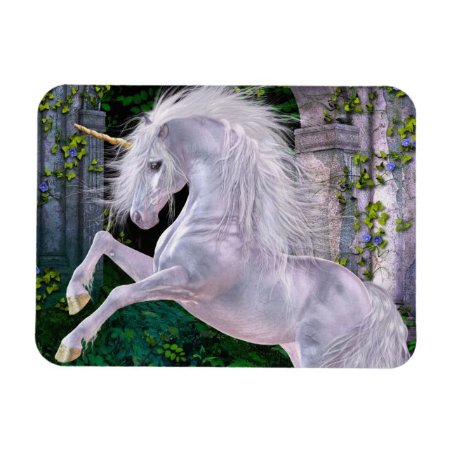 Some Enchanted Evening Flexi Magnet (Horizontal)