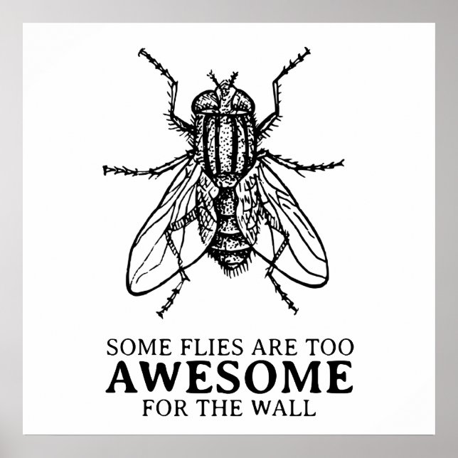 Some Flies Poster (Front)