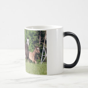 Some Horses In Green Grass Magic Mug