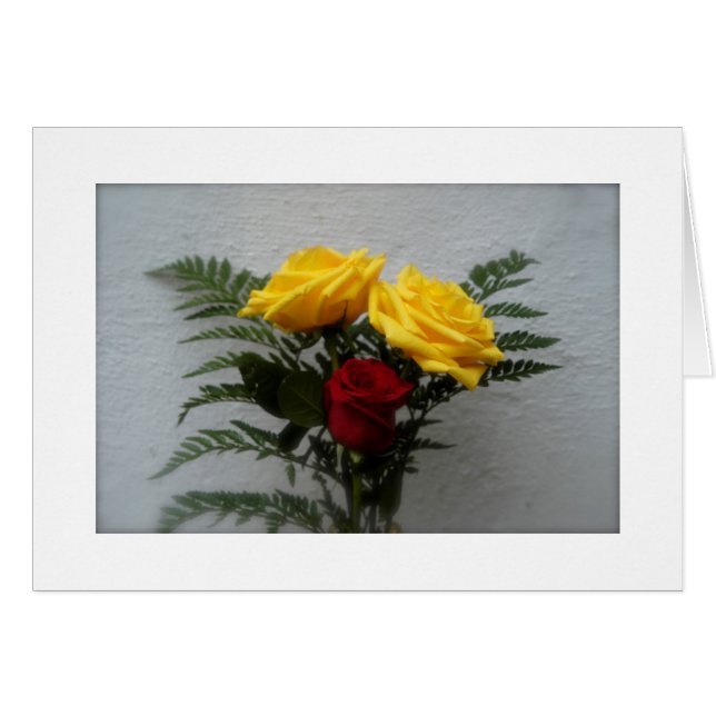 (Some) Roses are Red (Front Horizontal)