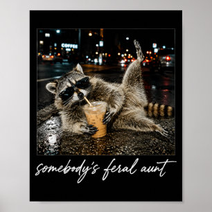 Somebodys Fvibesl Aunt Humourous Racoon Animal Poster