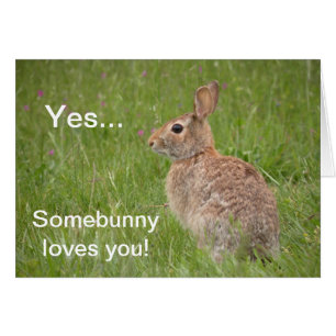 Somebunny loves you!