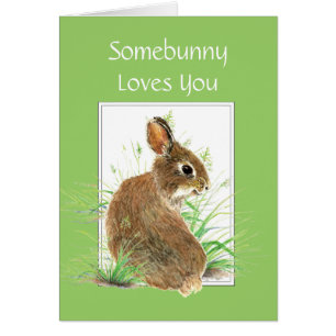 Somebunny Loves You, Rabbit, Bunny