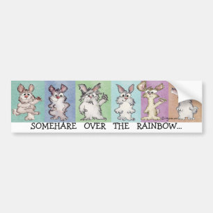 Somehare Over the Rainbow Bumper Sticker