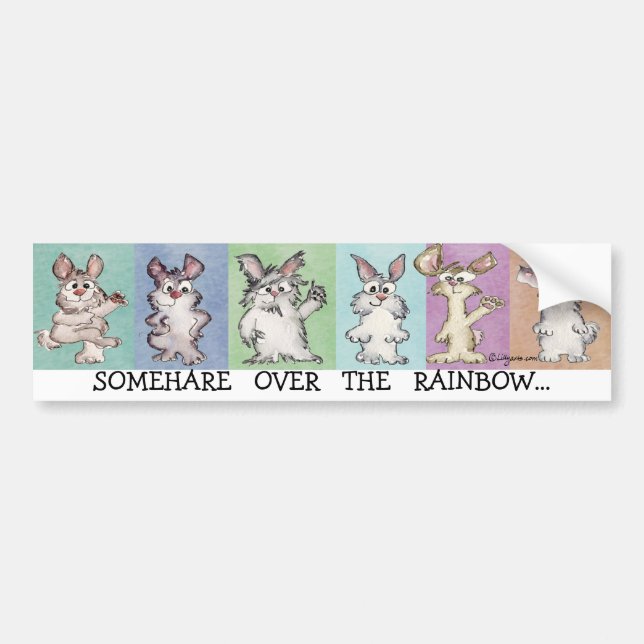 Somehare Over the Rainbow Bumper Sticker (Front)
