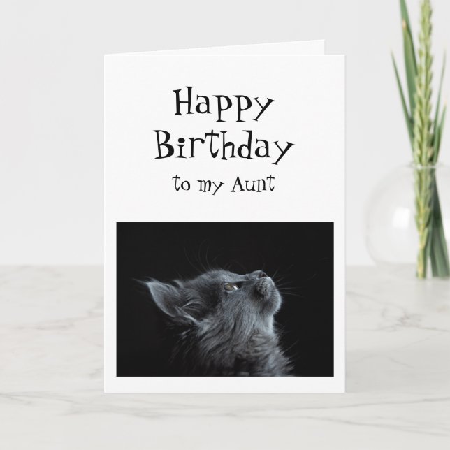 Someone I look up to Aunt Birthday Cat Fun Card (Front)