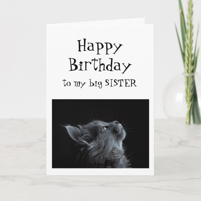 Someone I look up to Sister Birthday Animal Humour Card (Front)