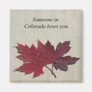 Someone in Colorado Loves You Magnet