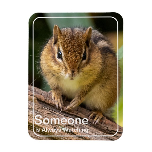 Someone is Watching Chipmunk  Magnet (Vertical)