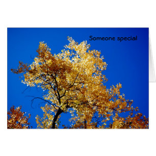 Someone special