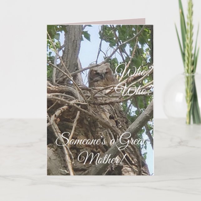 Someone's the Best Mother | Baby Owl in Tree Photo Card (Front)