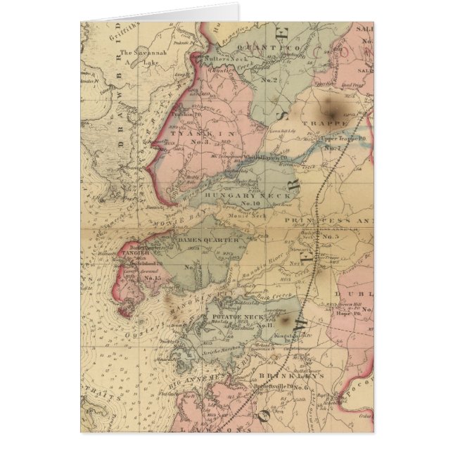 Somerset (Front)