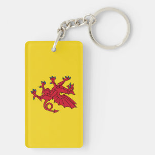 Somerset Flag England dragon symbol Key Ring