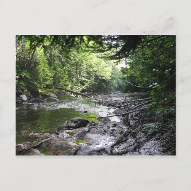 Somerset, Vt. Postcard (Front)