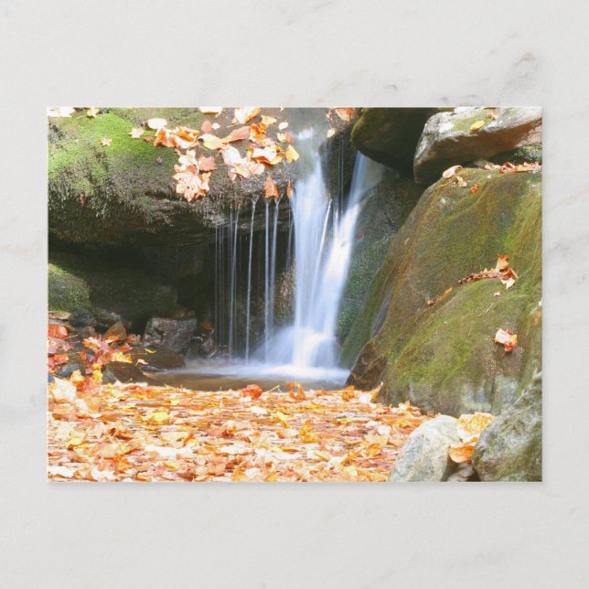 Something Different Postcard (Front)