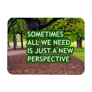 Sometimes all we need is just a new perspective magnet