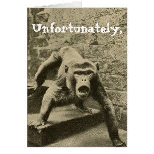 Sometimes it is Your Circus, They are Your Monkeys