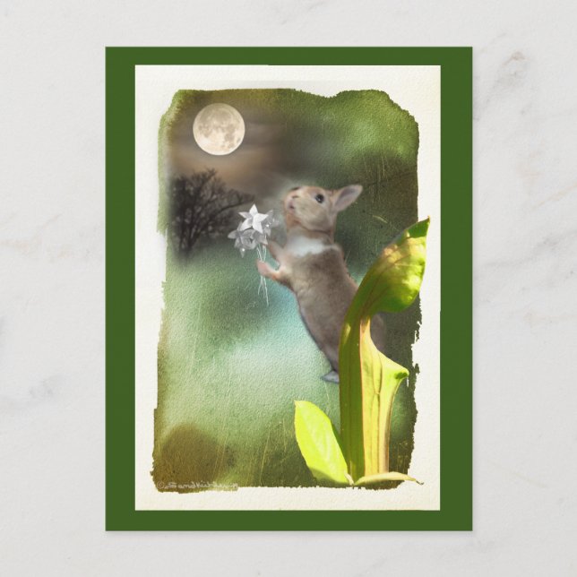 Sometimes Late at Night I Hear Joey Singing / Card (Front)