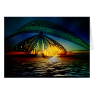 Somewhere Over the Butterfly