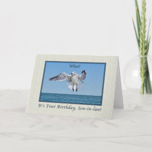 Son-in-law's Laughing Gull Bird Birthday Card