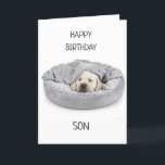 SON ON BIRTHDAY! CARD<br><div class="desc">THANK U FOR STOPPING BY ONE OF MY EIGHT STORES!!!!</div>