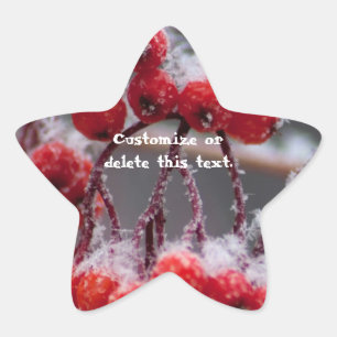 SONB Snow on Berries; Customisable Star Sticker