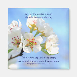 Song of Solomon 2:11-12a The flowers appear Magnet